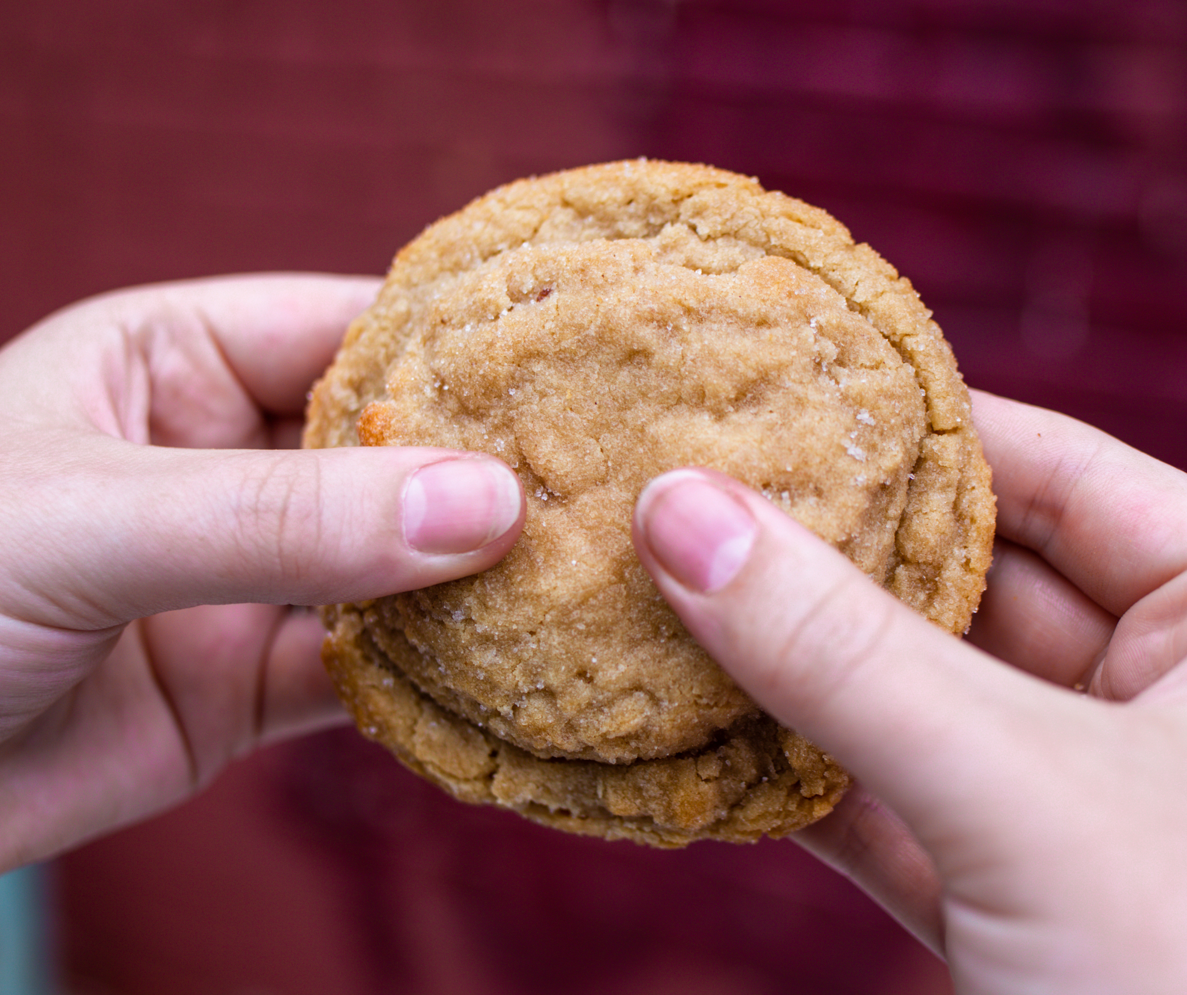 Peanut Butter Cookie