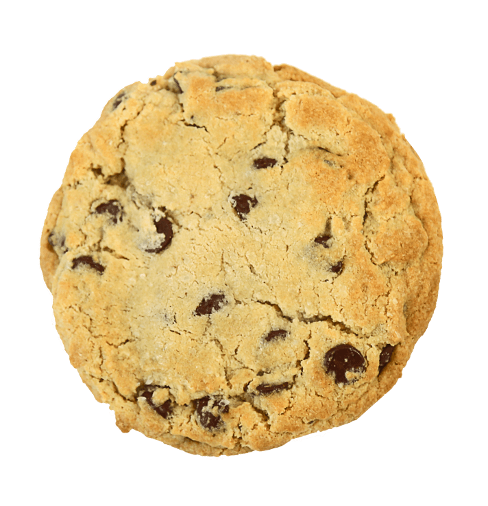 chocolate chip cookie