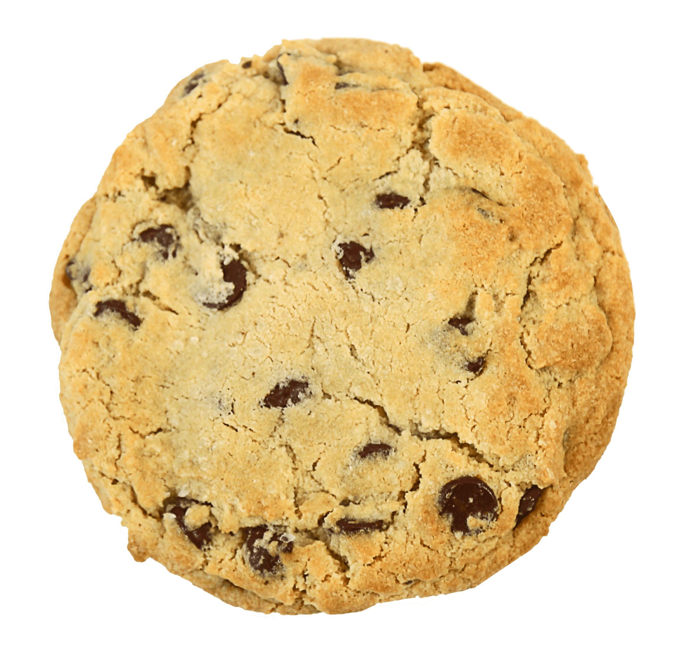 Chocolate Chip